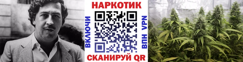  COCAIN Богданович
