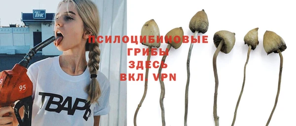 ECSTASY Инсар