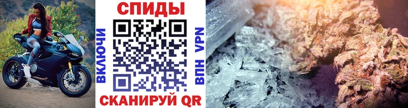 Купить  Богданович  Первитин витя 