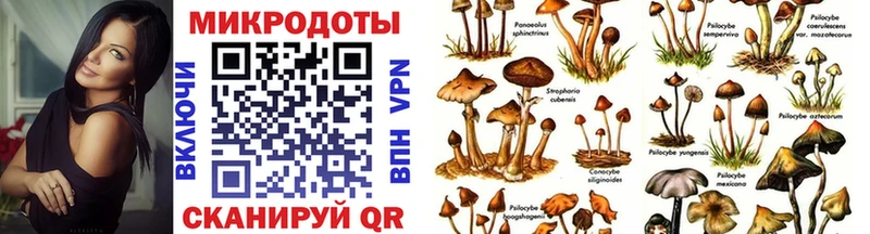 Купить где  Богданович  Псилоцибиновые грибы GOLDEN TEACHER 